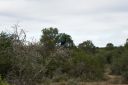 DSC02399.JPG