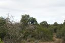 DSC02400.JPG