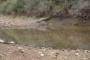 DSC02403.JPG