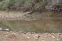 DSC02405.JPG