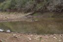 DSC02406.JPG