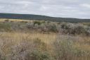 DSC02408.JPG