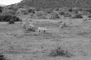 DSC02416.JPG