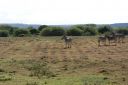 DSC02440.JPG
