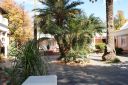 DSC02442.JPG