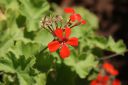 DSC02449.JPG