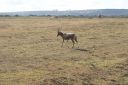 DSC02450.JPG