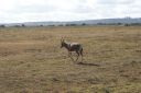 DSC02452.JPG