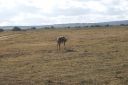 DSC02453.JPG