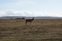 DSC02454.JPG