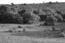DSC02464.JPG