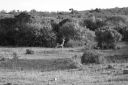 DSC02465.JPG