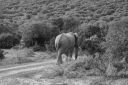 DSC02471.JPG