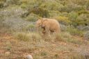 DSC02538.JPG
