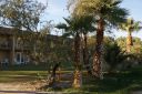 DSC01115.JPG