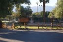 DSC01117.JPG