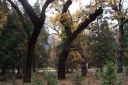 DSC01197.JPG