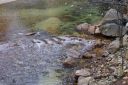 DSC01210.JPG