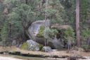 DSC01228.JPG