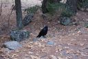 DSC01235.JPG