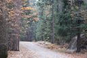 DSC01239.JPG