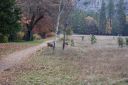DSC01244.JPG