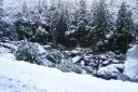 DSC01292.JPG
