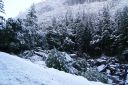 DSC01293.JPG