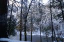 DSC01295.JPG