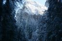 DSC01298.JPG