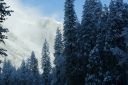 DSC01300.JPG