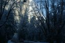 DSC01302.JPG