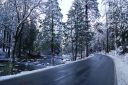 DSC01315.JPG