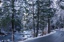 DSC01316.JPG