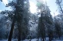 DSC01317.JPG