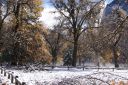 DSC01326.JPG