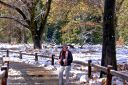DSC01329.JPG