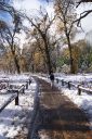 DSC01331.JPG