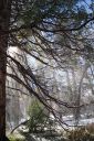 DSC01391.JPG