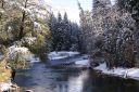 DSC01406.JPG