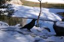 DSC01415.JPG