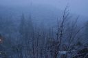 DSC01433.JPG