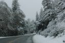 DSC01434.JPG