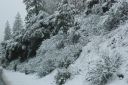 DSC01435.JPG