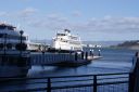 DSC01558.JPG