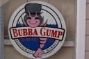 DSC01577.JPG