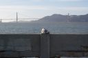 DSC01609.JPG