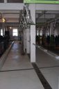 DSC01665.JPG