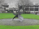 SDC10342.JPG