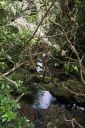 DSC02282.JPG